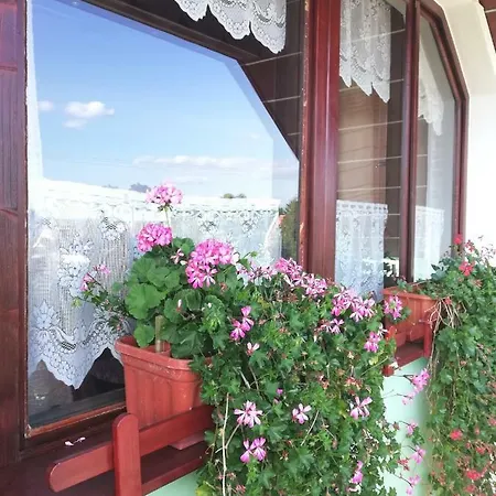 Apartman Anci *